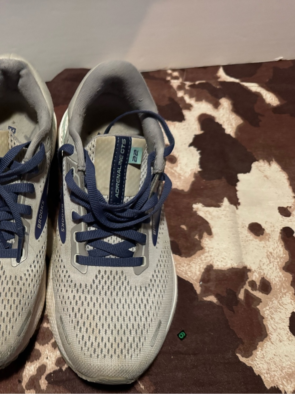 Brooks Running Shoes in Light Gray and Navy
